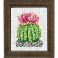 Cactus 13-74401